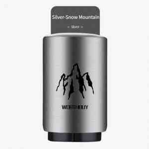 Silver02